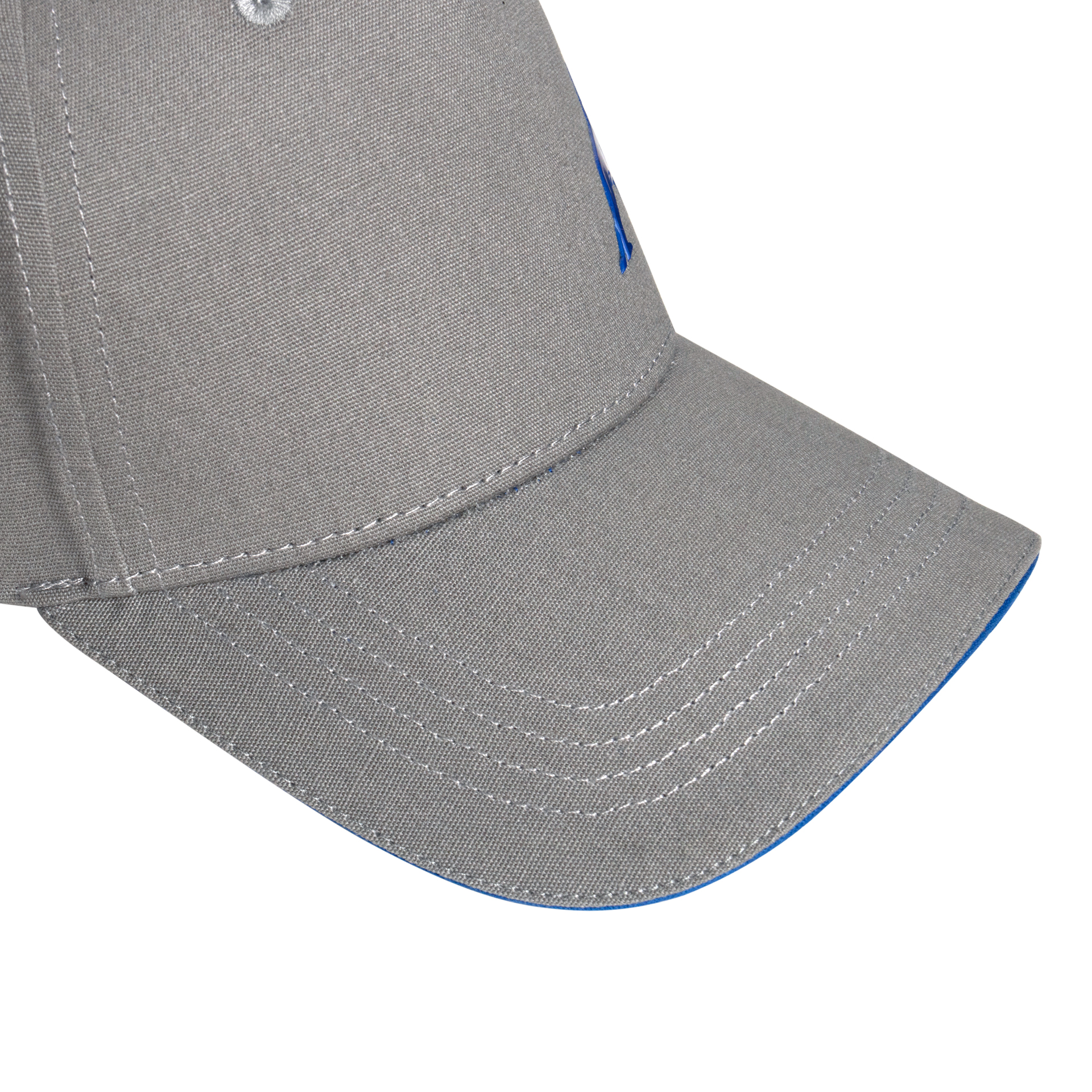 Unisex Cap Lion