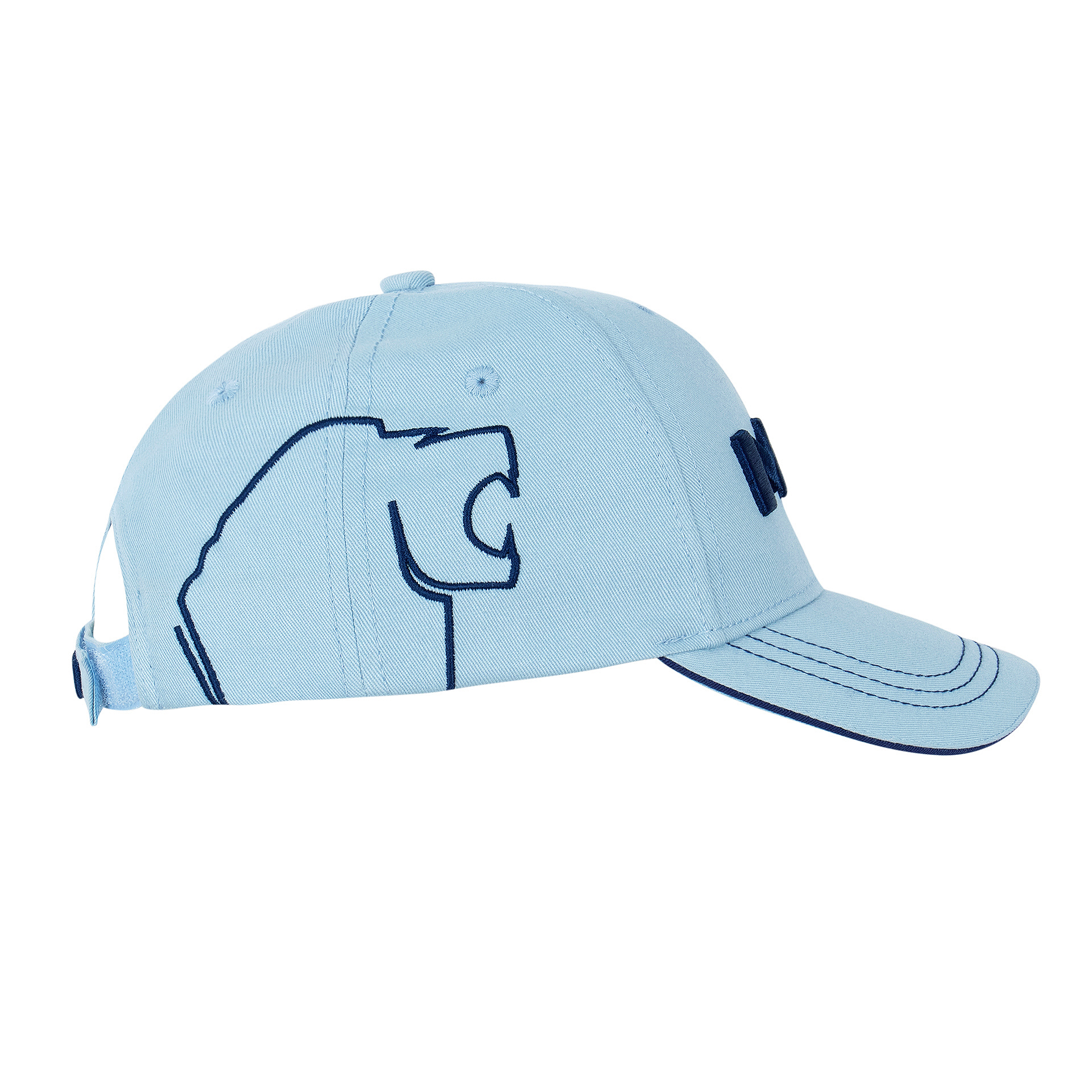 Unisex Classic Cap Logo