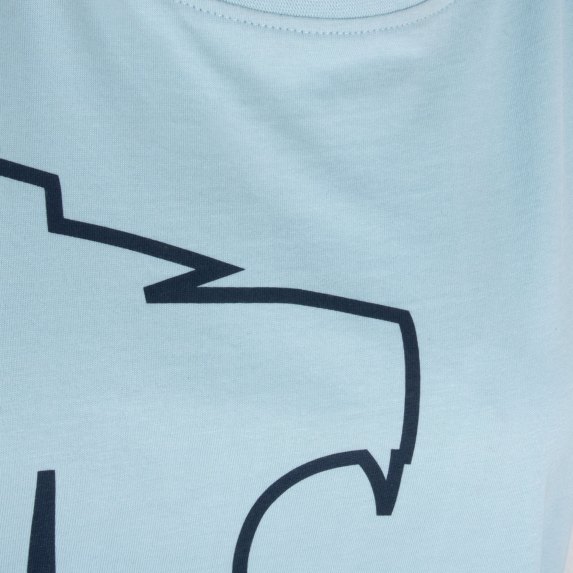 Women's T-shirt Lion arctic blue