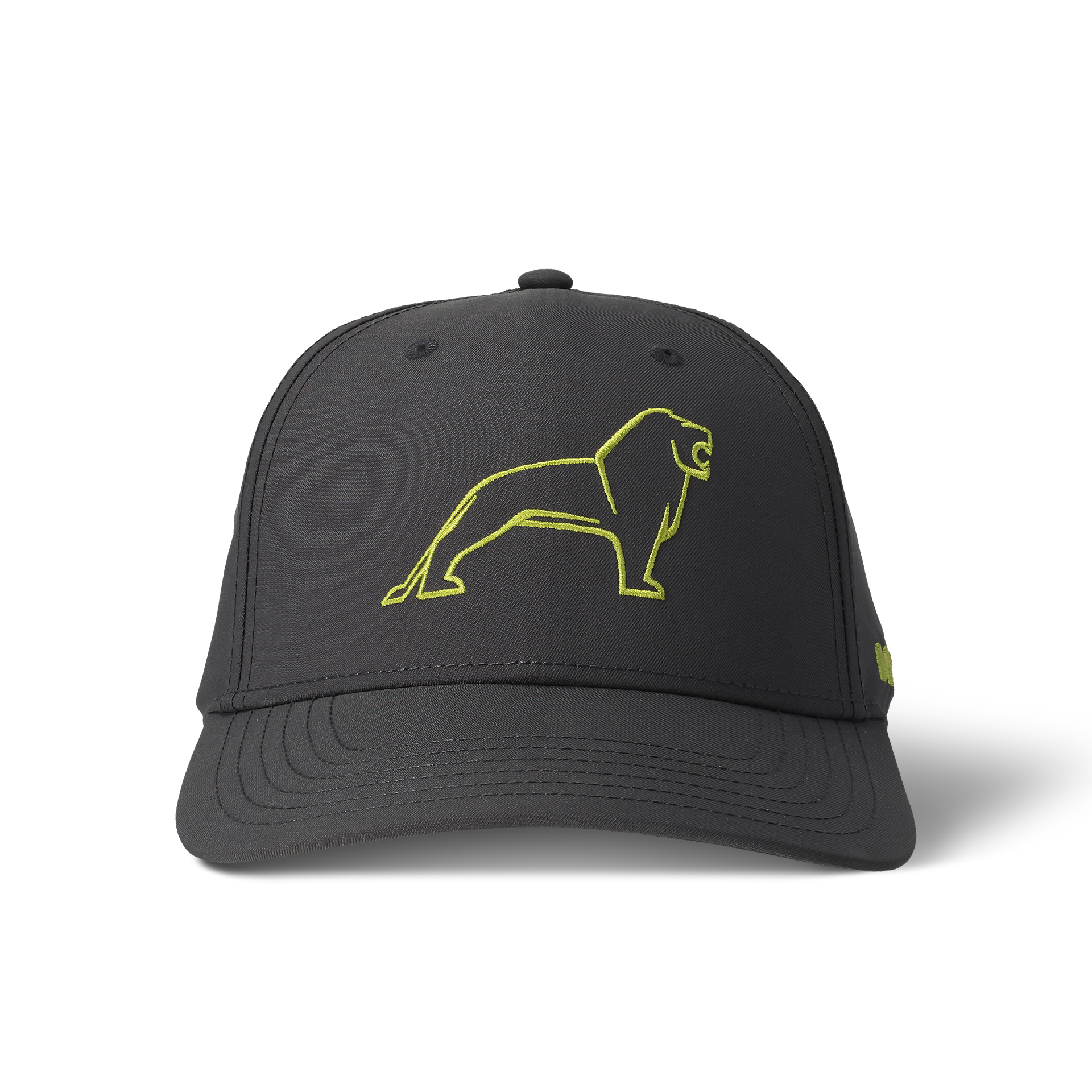 Cap, dark grey