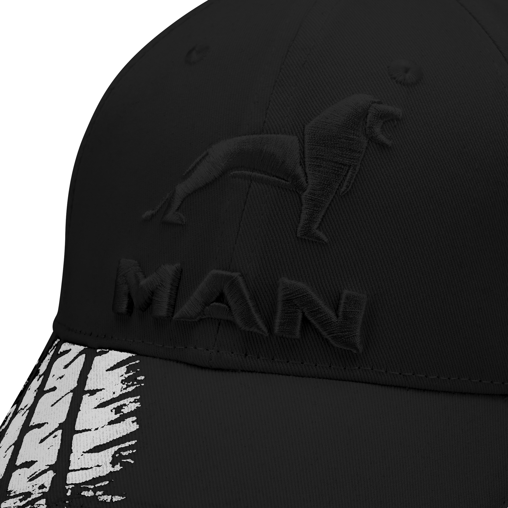 Casquette Signature Lion, noire