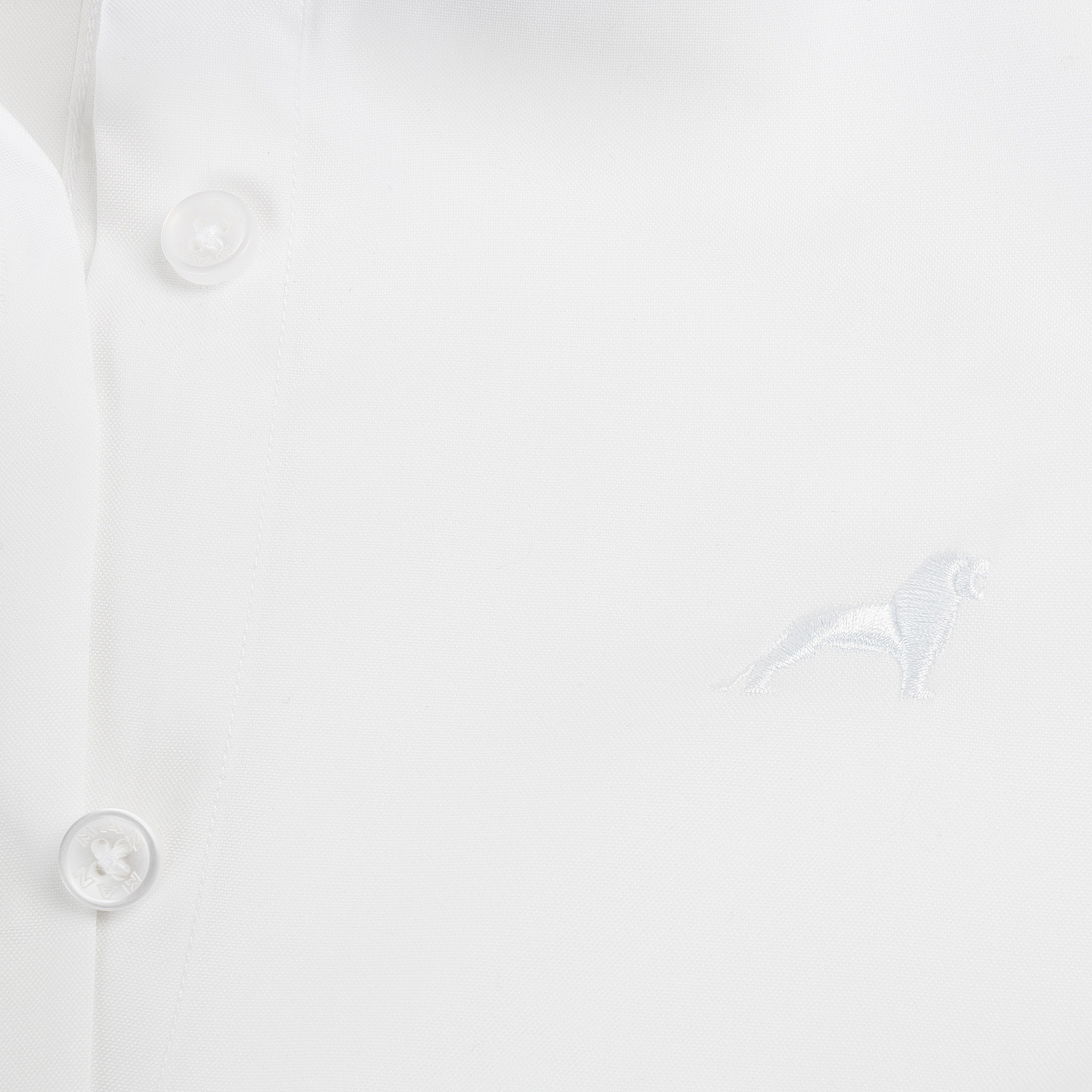 Damen Bluse
