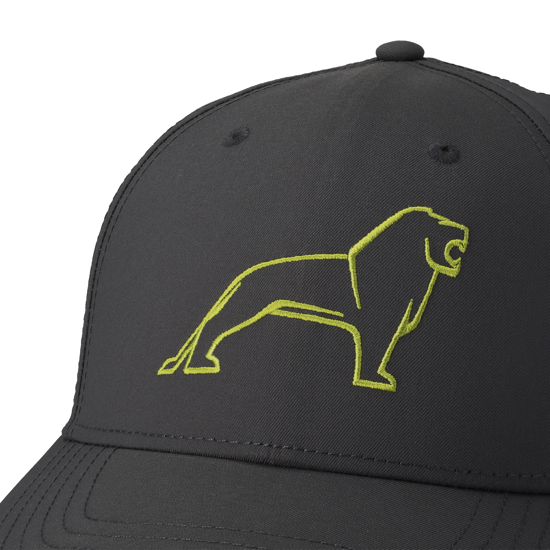 Cap, dark grey