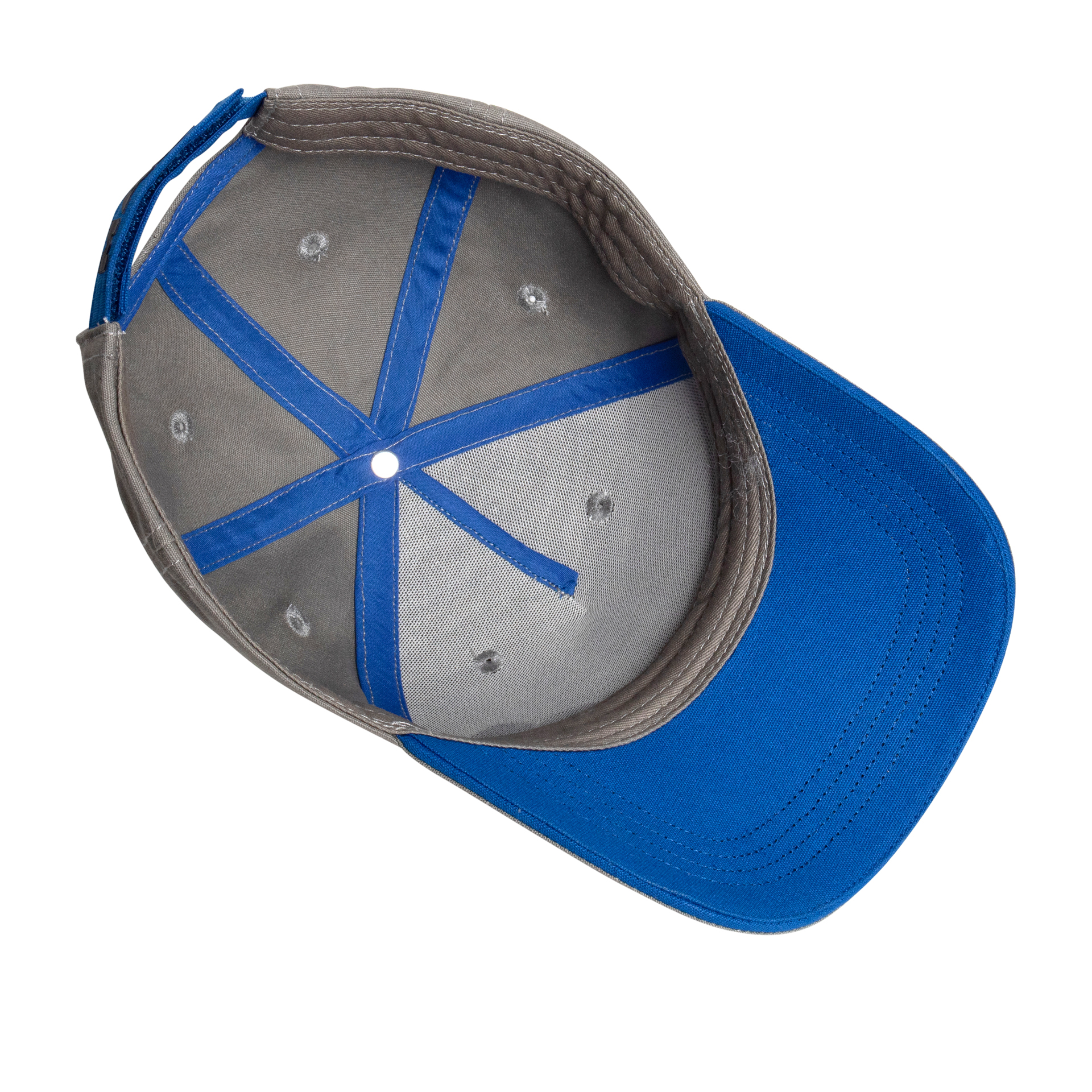 Unisex Cap Lion